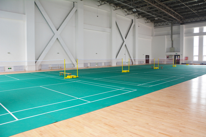 排球馆-羽毛球.jpg